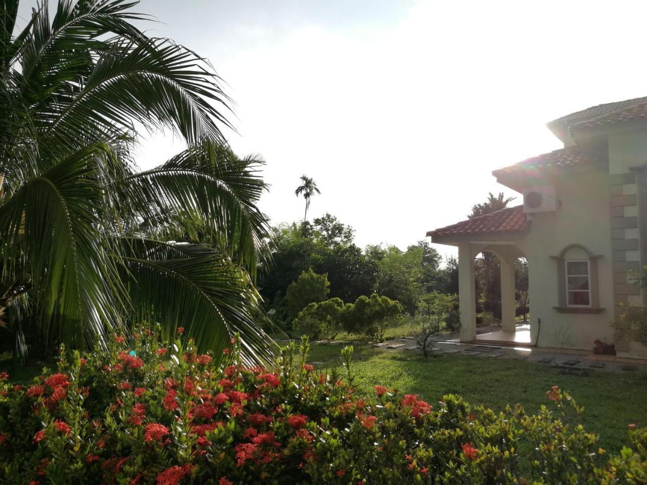 Guesthouse Dragon Place Taiping Esterno foto