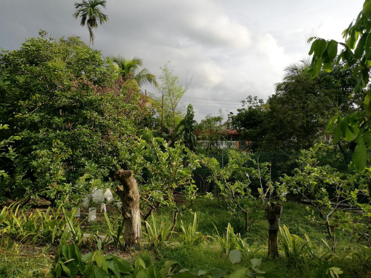 Guesthouse Dragon Place Taiping Esterno foto