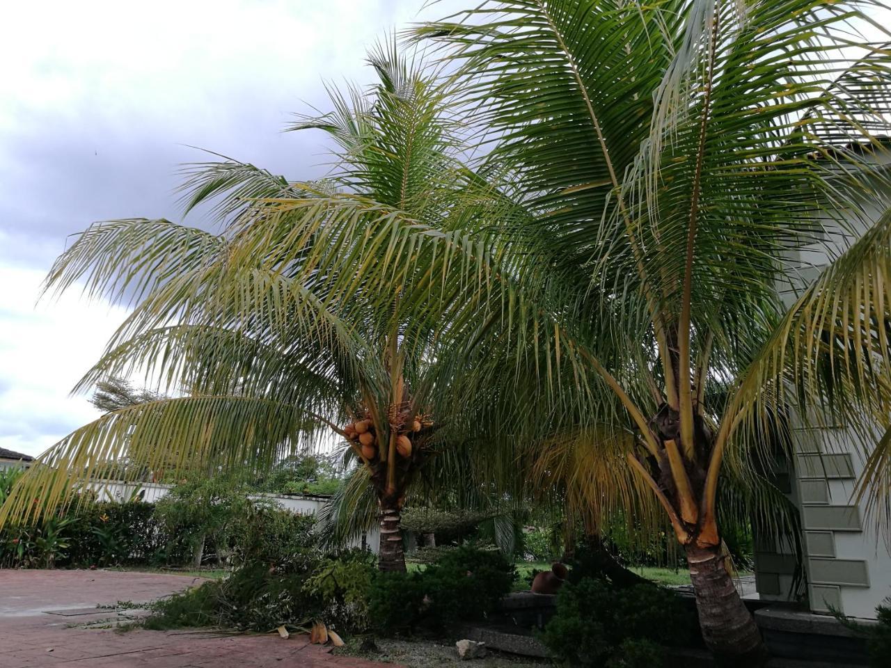 Guesthouse Dragon Place Taiping Esterno foto