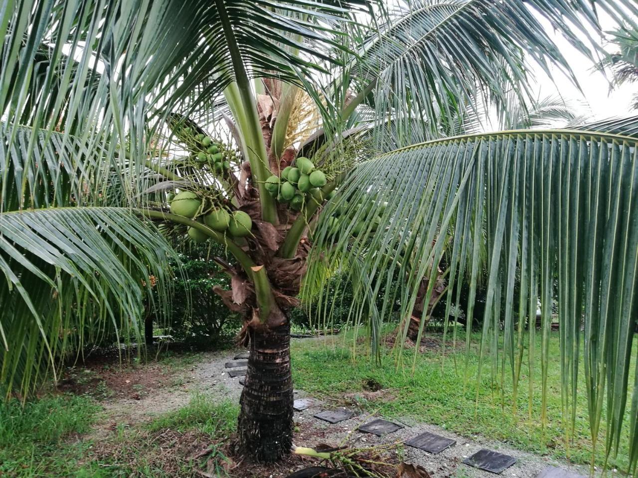 Guesthouse Dragon Place Taiping Esterno foto